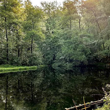 Ludwigslust Vogtland De - Ideal Für Naturliebhaber&fellnasen Ferienhaus