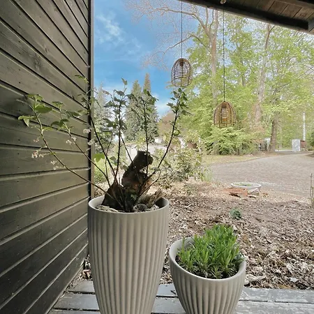 Ludwigslust Vogtland De - Ideal Für Naturliebhaber&fellnasen Ferienhaus *