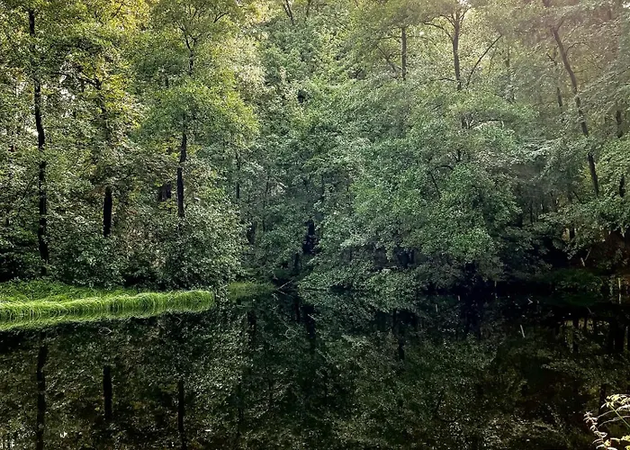 Ludwigslust Vogtland De - Ideal Fuer Naturliebhaber & Fellnasen Holiday home