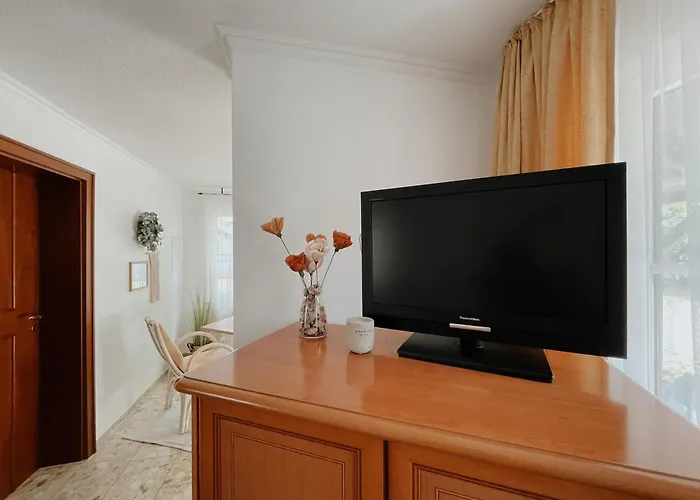 Holiday home Ludwigslust Vogtland De - Ideal Fuer Naturliebhaber & Fellnasen