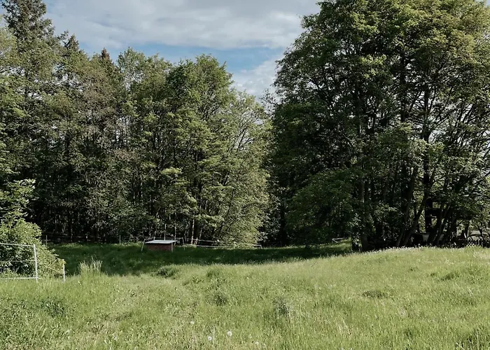 Holiday home Ludwigslust Vogtland De - Ideal Fuer Naturliebhaber & Fellnasen *